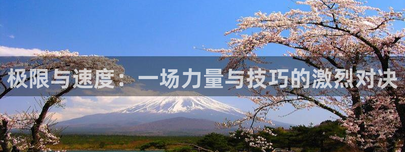 极限与速度：一场力量与技巧的激烈对决