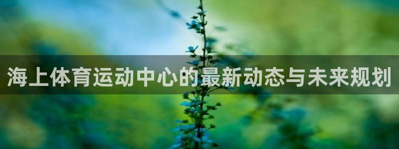 海上体育运动中心的最新动态与未来规划