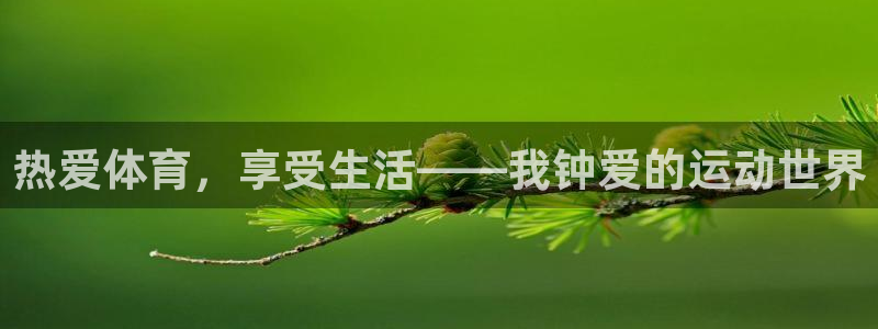 热爱体育，享受生活——我钟爱的运动世界