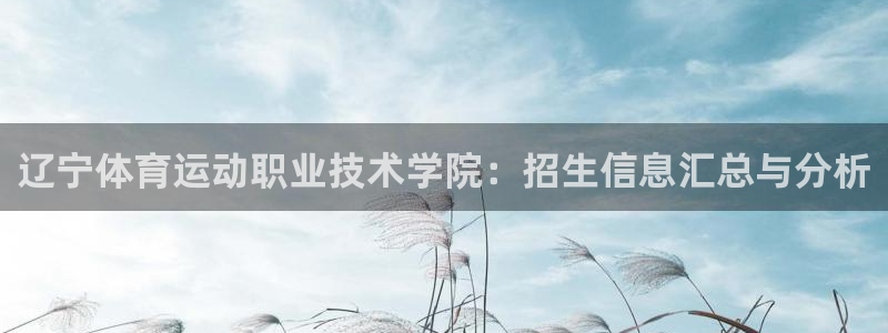 辽宁体育运动职业技术学院：招生信息汇总与分析